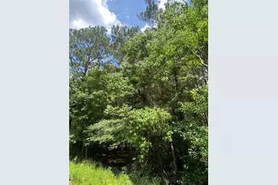 19133 Durham Court, New Caney, TX 77357 - Photo 12