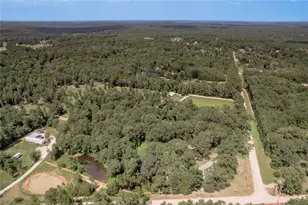 109 Buffalo Subdivision, Livingston, TX 77351 - Photo 36