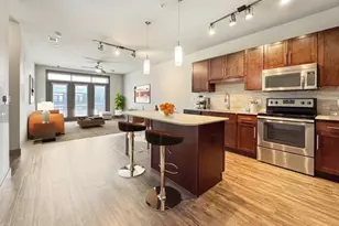 2910 Milam St, Houston, TX 77006 - Photo 8