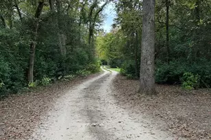 359 Salmon Lake Rd, Grapeland, TX 75844 - Photo 30