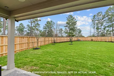 21211 Jacaranda Blossom Way, Tomball, TX 77447 - Photo 4