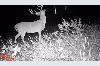 Tbd Pr 1350, Centerville, TX 75833 - Photo 30