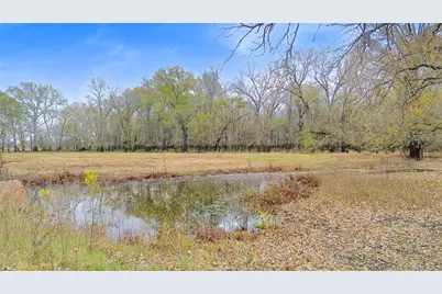 Tbd Pr 1350, Centerville, TX 75833 - Photo 14