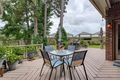 6 Red Adler Place, The Woodlands, TX 77382 - Photo 34
