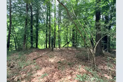 962 Fm 256 E, Woodville, TX 75979 - Photo 44