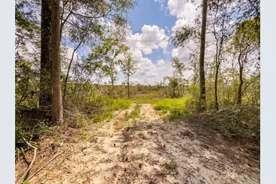 R53358 Hwy 94, Apple Springs, TX 75926 - Photo 2