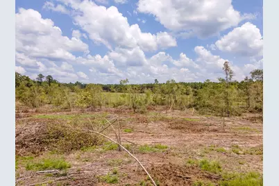 R53358 Hwy 94, Apple Springs, TX 75926 - Photo 8