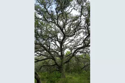 Lot 29 Shorebird Lane, Columbus, TX 78934 - Photo 10