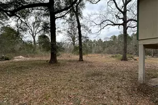 0 Coleman Dr Dr, Splendora, TX 77372 - Photo 1
