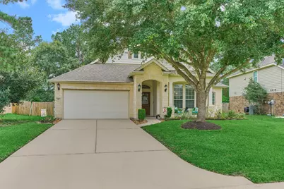 110 Magnolia Colony Court, Magnolia, TX 77354 - Photo 44