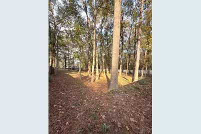 256 County Road 2146, Cleveland, TX 77327 - Photo 6