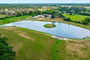 41115 Community Rd, Magnolia, TX 77354 - Photo 12