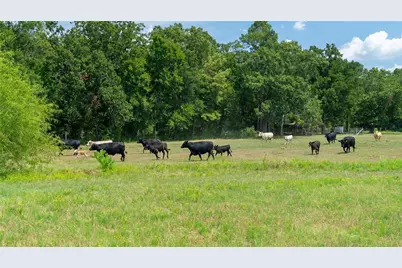 41115 Community Road, Magnolia, TX 77354 - Photo 26