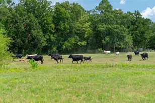 41115 Community Rd, Magnolia, TX 77354 - Photo 26