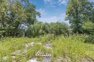 3620 Mt Pleasant St, Houston, TX 77021 - Photo 20
