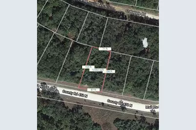 Lot 53 Mail Route Road, Normangee, TX 77871 - Photo 2