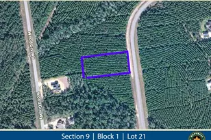 16245 Ridge Oak Rd, Willis, TX 77378 - Photo 1