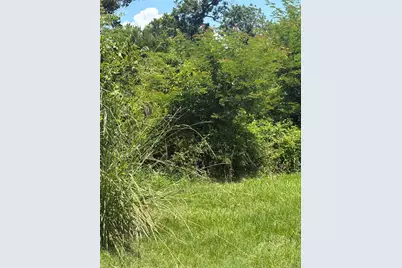 1 Fm 980 S, Point Blank, TX 77364 - Photo 6