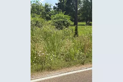 1 Fm 980 S, Point Blank, TX 77364 - Photo 2