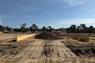 18531 Karlynn St, New Caney, TX 77357 - Photo 2