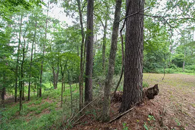 299 Hideaway Drive, Livingston, TX 77351 - Photo 10