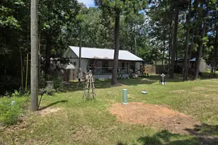 141 Mud Cat Dr, Trinity, TX 75862 - Photo 32