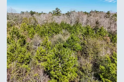 15184 Fm 92, Spurger, TX 77660 - Photo 16