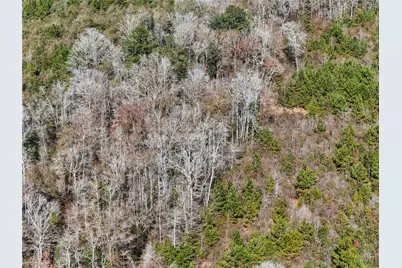 15184 Fm 92, Spurger, TX 77660 - Photo 34