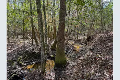 15184 Fm 92, Spurger, TX 77660 - Photo 8