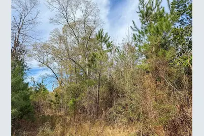 15184 Fm 92, Spurger, TX 77660 - Photo 24