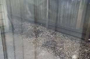 12319 W Village Dr, Houston, TX 77039 - Photo 14