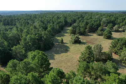 Tbd An County Road 1220, Grapeland, TX 75844 - Photo 30