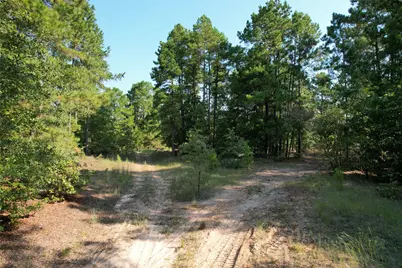 Tbd An County Road 1220, Grapeland, TX 75844 - Photo 24