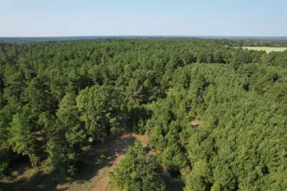 Tbd An County Road 1220, Grapeland, TX 75844 - Photo 26