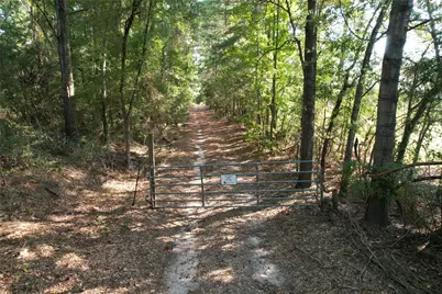 Tbd An County Road 1220, Grapeland, TX 75844 - Photo 8