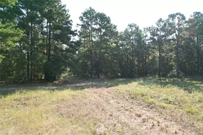Tbd An County Road 1220, Grapeland, TX 75844 - Photo 22
