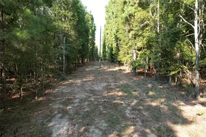 Tbd An County Road 1220, Grapeland, TX 75844 - Photo 10