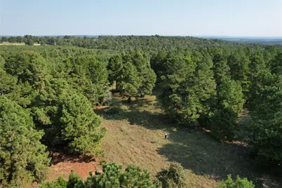 Tbd An County Road 1220, Grapeland, TX 75844 - Photo 2