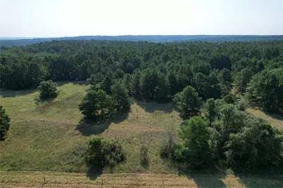 Tbd An County Road 1220, Grapeland, TX 75844 - Photo 32