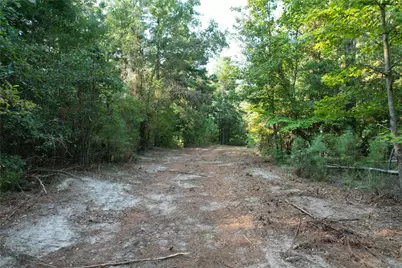 Tbd An County Road 1220, Grapeland, TX 75844 - Photo 6
