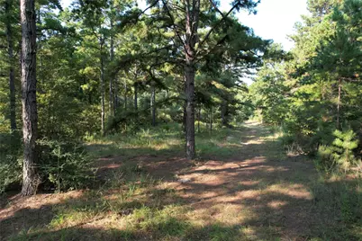 Tbd An County Road 1220, Grapeland, TX 75844 - Photo 20