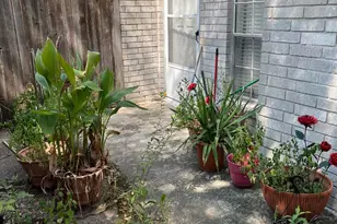 17591 Red Oak Dr, Houston, TX 77090 - Photo 20