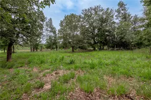 26353 Bedias Dr, Bedias, TX 77831 - Photo 24