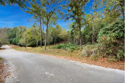 Lot 36 Loper Lake Drive, Livingston, TX 77351 - Photo 24