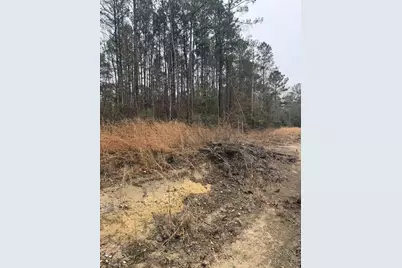 0 County Road 451, Kirbyville, TX 75956 - Photo 4