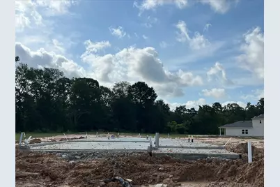 16722 Brighter Blooms Avenue, Porter, TX 77365 - Photo 2