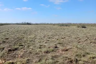 807 County Road 807, Angleton, TX 77515 - Photo 1