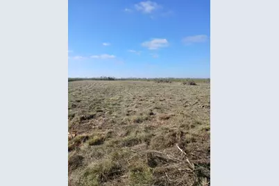 807 County Road 807, Angleton, TX 77515 - Photo 4