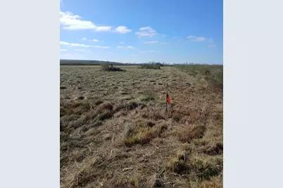 807 County Road 807, Angleton, TX 77515 - Photo 6