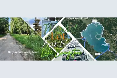 0 The Woods Road, Coldspring, TX 77331 - Photo 6